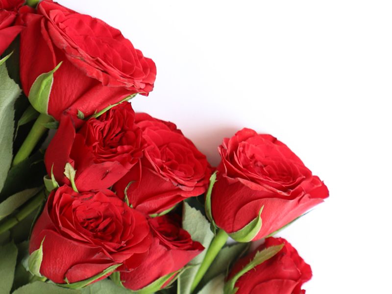 red-roses